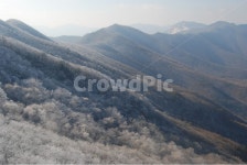 백화산, 능선, 나무, 등산로, 자연, 사진,이미지,일러스트,캘리그라피 - 김창래작가 크라우드픽 - 저작권 걱정 없는 상업용 이미지