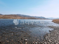 충주, 비내섬, 자연, nature, 옥외, 사진,이미지,일러스트,캘리그라피 - MIRONE작가 크라우드픽 - 저작권 걱정 없는 상업용 이미지