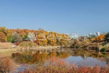 올림픽공원, 서울, 송파구, 방이동, 도시, 사진,이미지,일러스트,캘리그라피 - imlover작가 크라우드픽 - 저작권 걱정 없는 상업용 이미지