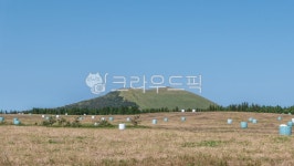 경관, 들판, 하늘, 농촌, 농장, 사진,이미지,일러스트,캘리그라피 - 인추라기작가 크라우드픽 - 저작권 걱정 없는 상업용 이미지