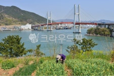 grassland, field, 들, farm, 농장, 사진,이미지,일러스트,캘리그라피 - 영산공작가 크라우드픽 - 저작권 걱정 없는 상업용 이미지