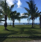 푸른하늘, 해변, 야자수, 휴가, 휴양, 사진,이미지,일러스트,캘리그라피 - 칠성이작가 크라우드픽 - 저작권 걱정 없는 상업용 이미지