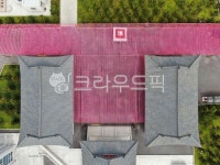 연등, 사찰, 절, 지붕, 분홍, 사진,이미지,일러스트,캘리그라피 - 제주뷰(view)작가 크라우드픽 - 저작권 걱정 없는 상업용 이미지