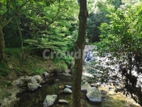 nature, 자연, 숲속, 개울가, 옥외, 사진,이미지,일러스트,캘리그라피 - Nshekinah814작가 크라우드픽 - 저작권 걱정 없는 상업용 이미지