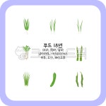 png, 대파, 파, 쪽파, 실파, 사진,이미지,일러스트,캘리그라피 - 스트로크제이작가 크라우드픽 - 저작권 걱정 없는 상업용 이미지