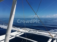 바다, 자유, 슬로우라이프, 여행, 도전, 사진,이미지,일러스트,캘리그라피 - 사로작가 크라우드픽 - 저작권 걱정 없는 상업용 이미지