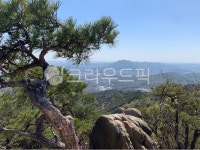 관악산, 소나무, 전경, 등산, tree, 사진,이미지,일러스트,캘리그라피 - 초코감귤작가 크라우드픽 - 저작권 걱정 없는 상업용 이미지