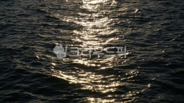 nature, 자연, river, 강, 윤슬, 사진,이미지,일러스트,캘리그라피 - cyanPic작가 크라우드픽 - 저작권 걱정 없는 상업용 이미지