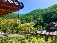 기와, 산, 처마, 풍경, 기와집, 사진,이미지,일러스트,캘리그라피 - 호랑이86작가 크라우드픽 - 저작권 걱정 없는 상업용 이미지