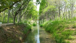 경주, 산림환경연구원, 나무다리, 풍경, 나무, 사진,이미지,일러스트,캘리그라피 - 쓰언작가 크라우드픽 - 저작권 걱정 없는 상업용 이미지