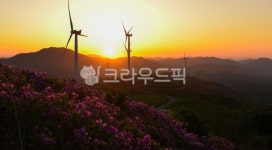 자연, 풍경, 경치, 일출, 서광목장, 사진,이미지,일러스트,캘리그라피 - 서은작가 크라우드픽 - 저작권 걱정 없는 상업용 이미지