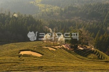 rural, 농촌, farm, 농장, nature, 사진,이미지,일러스트,캘리그라피 - 영산공작가 크라우드픽 - 저작권 걱정 없는 상업용 이미지