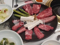한우, 소고기, 등심, 갈빗살, 갈비, 사진,이미지,일러스트,캘리그라피 - Ncanvas_작가 크라우드픽 - 저작권 걱정 없는 상업용 이미지