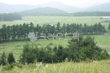 제주오름, 오름, 분지, 들판, 평지, 사진,이미지,일러스트,캘리그라피 - rindalove작가 크라우드픽 - 저작권 걱정 없는 상업용 이미지