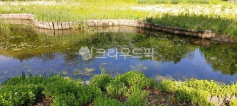 인천대공원, 풍경, 사계절, 호수, 자연, 사진,이미지,일러스트,캘리그라피 - SP디자이너작가 크라우드픽 - 저작권 걱정 없는 상업용 이미지
