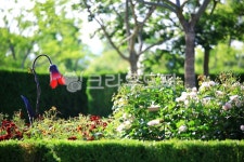 순천만국가정원1호, 테마공원, 자연생태공원, 자연, 옥외, 사진,이미지,일러스트,캘리그라피 - pandora4077작가 크라우드픽 - 저작권 걱정... 