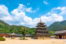 법주사, 한국, 속리산, 절, 종교, 사진,이미지,일러스트,캘리그라피 - 사진속으로작가 크라우드픽 - 저작권 걱정 없는 상업용 이미지