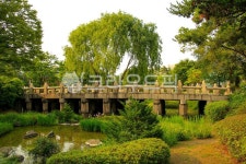 장충단공원, 공원, 숲, 돌다리, 다리, 사진,이미지,일러스트,캘리그라피 - imlover작가 크라우드픽 - 저작권 걱정 없는 상업용 이미지