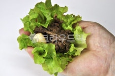 상추, 채소, 불고기, 쌈, 야채, 사진,이미지,일러스트,캘리그라피 - 깨비선생작가 크라우드픽 - 저작권 걱정 없는 상업용 이미지