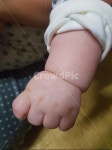 아기, 애기, 소세지팔, 아기손, baby, 사진,이미지,일러스트,캘리그라피 - puding29작가 크라우드픽 - 저작권 걱정 없는 상업용 이미지