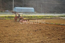 밭, 시골, 트랙터, 아침, 햇살, 사진,이미지,일러스트,캘리그라피 - 트루타임작가 크라우드픽 - 저작권 걱정 없는 상업용 이미지