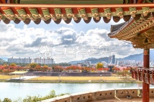 풍경, 영남루, 밀양강, 자연, 단풍, 사진,이미지,일러스트,캘리그라피 - 깜찍이의 기다림작가 크라우드픽 - 저작권 걱정 없는 상업용 이미지