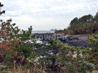 망장포구, 바다, 올레5코스, 올레길, 제주, 사진,이미지,일러스트,캘리그라피 - Deep bLUE작가 크라우드픽 - 저작권 걱정 없는 상업용 이미지