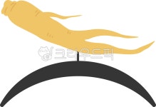 인삼, 삼계탕재료, 백숙재료, 삼, 산삼, 사진,이미지,일러스트,캘리그라피 - dozzipozzi작가 크라우드픽 - 저작권 걱정 없는 상업용 이미지