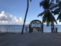 하늘, 섬나라, 열대야나무, 푸른하늘, 산책, 사진,이미지,일러스트,캘리그라피 - 뽀댕작가 크라우드픽 - 저작권 걱정 없는 상업용 이미지