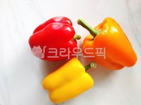 파프리카, 채소, 야채, 식재료, 피망, 사진,이미지,일러스트,캘리그라피 - myamya작가 크라우드픽 - 저작권 걱정 없는 상업용 이미지