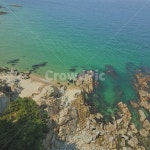 망양, 바다, 풍경, 바위, 경치, 사진,이미지,일러스트,캘리그라피 - Nwuioper작가 크라우드픽 - 저작권 걱정 없는 상업용 이미지