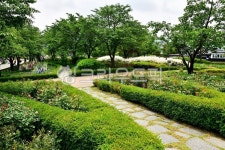 park, 공원, outdoors, 옥외, nature, 사진,이미지,일러스트,캘리그라피 - 영산공작가 크라우드픽 - 저작권 걱정 없는 상업용 이미지
