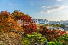 동래읍성, 동래, 복천동, 복천동박물관, 복천동고분군, 사진,이미지,일러스트,캘리그라피 - 쁘악쑤엉므인작가 크라우드픽 - 저작권 걱정 없는... 