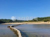 물, 다리, 강, 섬, 마을, 사진,이미지,일러스트,캘리그라피 - cyon39작가 크라우드픽 - 저작권 걱정 없는 상업용 이미지