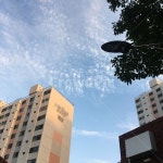 building, 건물, 구름, 하늘, 나무, 사진,이미지,일러스트,캘리그라피 - 주화작가 크라우드픽 - 저작권 걱정 없는 상업용 이미지