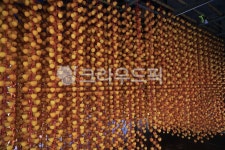 곶감, 감, persimmon, gotgam, driedpersimmon, 사진,이미지,일러스트,캘리그라피 - 갑봉작가 크라우드픽 - 저작권 걱정 없는 상업용 이미지