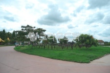 초원, 관광지, 테마파크, 목장, 초록, 사진,이미지,일러스트,캘리그라피 - dailyLP작가 크라우드픽 - 저작권 걱정 없는 상업용 이미지