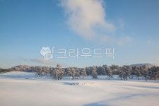 자연, 풍경, 겨울, 소나무, 눈, 사진,이미지,일러스트,캘리그라피 - Nlkp1961작가 크라우드픽 - 저작권 걱정 없는 상업용 이미지