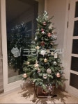 tree, 나무, christmasdecorations, 크리스마스장식들, festival, 사진,이미지,일러스트,캘리그라피 - 지단동글작가 크라우드픽 - 저작권... 