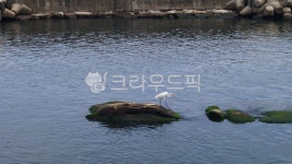 강릉, 바다, 소돌해변, 해변, sea, 사진,이미지,일러스트,캘리그라피 - 실비아작가 크라우드픽 - 저작권 걱정 없는 상업용 이미지