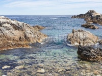 자연, 풍경, 맑은바다, 맑은물, 동해, 사진,이미지,일러스트,캘리그라피 - monkeyksg작가 크라우드픽 - 저작권 걱정 없는 상업용 이미지