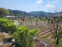 시골텃밭, 전원하우스, 상추키우기, 텃밭, 시골농원, 사진,이미지,일러스트,캘리그라피 - 파피레드작가 크라우드픽 - 저작권 걱정 없는 상업용 이미지