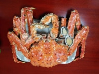kingcrab, 왕게, food, sealife, seafood, 사진,이미지,일러스트,캘리그라피 - Nyoonjy514작가 크라우드픽 - 저작권 걱정 없는 상업용... 