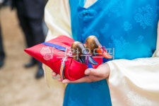 함기러기, 기러기, 남성, apparel, 의복, 사진,이미지,일러스트,캘리그라피 - Ncollazoo작가 크라우드픽 - 저작권 걱정 없는 상업용 이미지