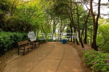 매봉산공원, 공원, 숲, 도로, 길, 사진,이미지,일러스트,캘리그라피 - imlover작가 크라우드픽 - 저작권 걱정 없는 상업용 이미지