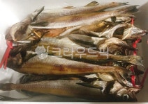 황태, 명태, 코다리, 북어, 생선, 사진,이미지,일러스트,캘리그라피 - 먹방작가 크라우드픽 - 저작권 걱정 없는 상업용 이미지