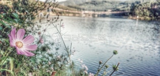 nature, 자연, water, 물, outdoors, 사진,이미지,일러스트,캘리그라피 - 콧털행님작가 크라우드픽 - 저작권 걱정 없는 상업용 이미지
