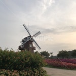 풍차, 자연, 꽃, 노을, 하늘, 사진,이미지,일러스트,캘리그라피 - 브릴랑윤작가 크라우드픽 - 저작권 걱정 없는 상업용 이미지