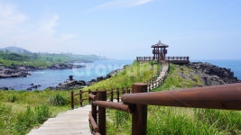 산책로, 제주도, 닭머르해안길, 닭머르, 산책길, 사진,이미지,일러스트,캘리그라피 - herry작가 크라우드픽 - 저작권 걱정 없는 상업용 이미지