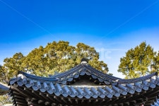 한옥, 고옥, 전통기와, 기와, 기와지붕, 사진,이미지,일러스트,캘리그라피 - 봉구58작가 크라우드픽 - 저작권 걱정 없는 상업용 이미지